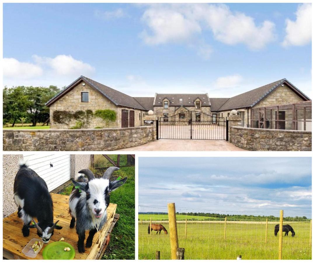 Cottage With Panoramic Views Kirk of Shotts Exteriér fotografie